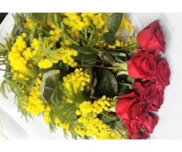 Mimosa con 7 rose rosse