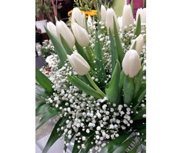 Bouquet di tulipani bianchi e gisofila