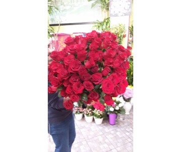 100 rose rosse