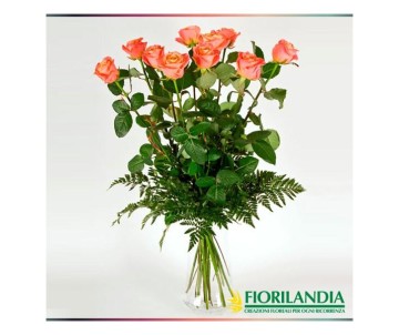 3 rose arancio