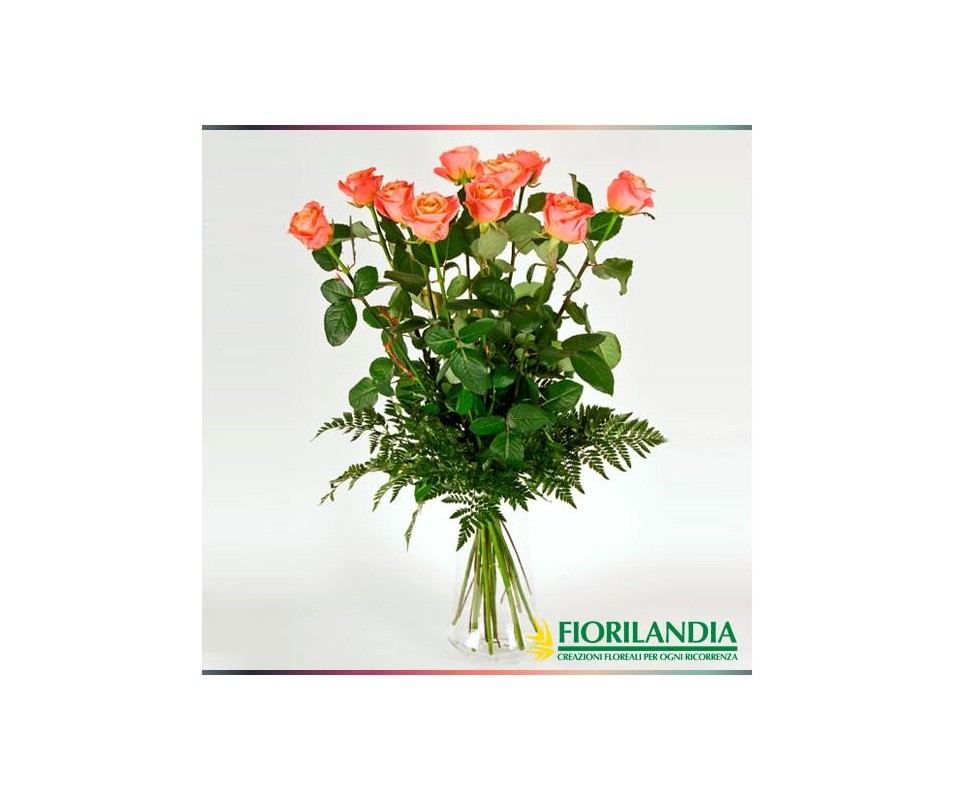 3 rose arancio