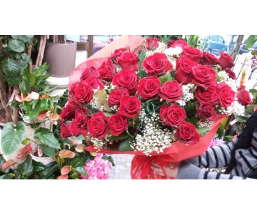 48 rose rosse