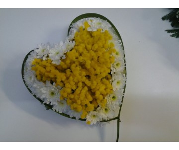 Cuore di mimose e margherite bianche