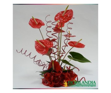 Centrotavola di anthurium