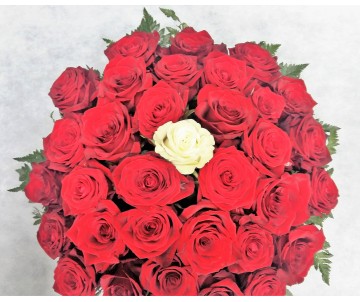 Centrotavola di rose rosse con rosa bianca centrale