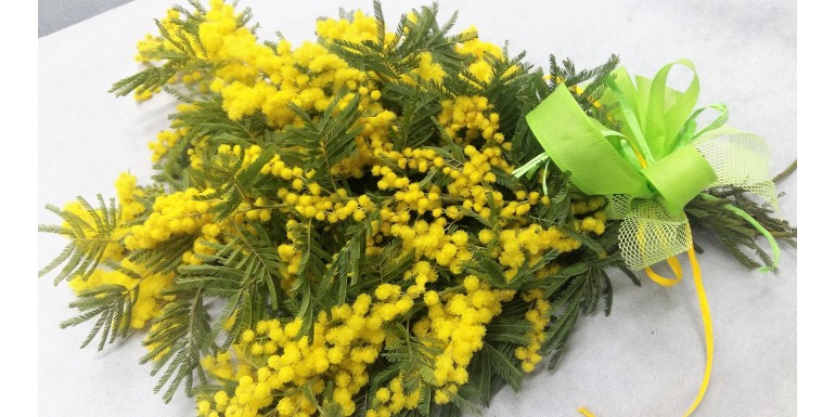 Mimose 8 marzo Festa della Donna, Mimosa con consegna