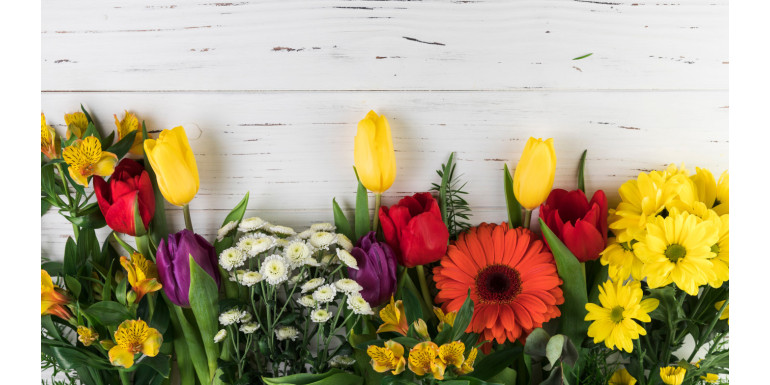 Esplora la Bellezza dei Fiori di Aprile con Fiorilandia