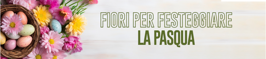 Fiori per festeggiare la pasqua - Fiorilandia