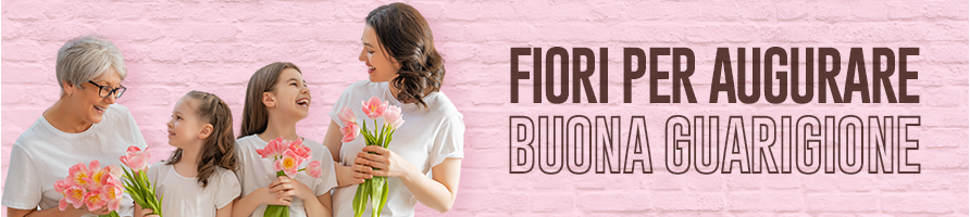 Fiori per augurare una buona guarigione - Fiorilandia