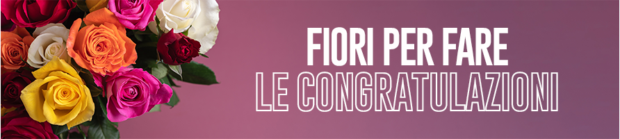 Fiori per congratulazioni - Fiorilandia