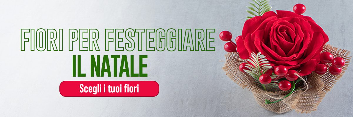 Fiori per festeggiare il natale