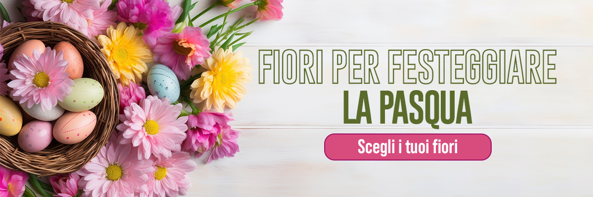 Fiori per festeggiare la pasqua